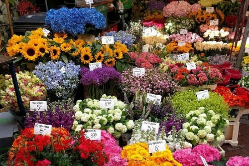 花卉采購APP開發的功能及其優勢(圖2) 花卉采購APP開發的功能及其優勢(圖2)