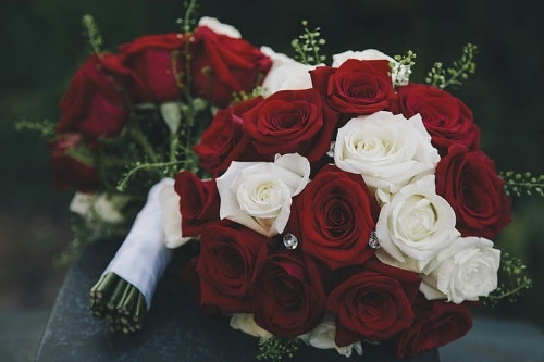 花卉采購APP開發的功能及其優勢(圖4) 花卉采購APP開發的功能及其優勢(圖4)