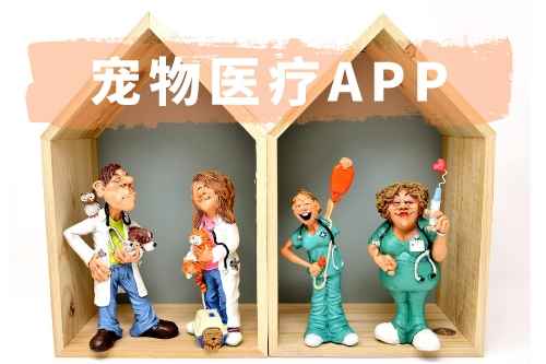 寵物醫療APP開發有哪些功能(圖1) 寵物醫療APP開發有哪些功能(圖1)