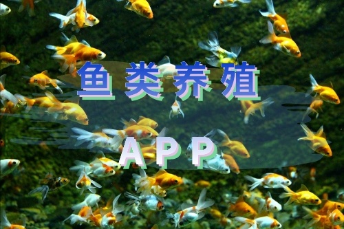 如何開發一款魚類養殖APP 軟件(圖1) 如何開發一款魚類養殖APP 軟件(圖1)