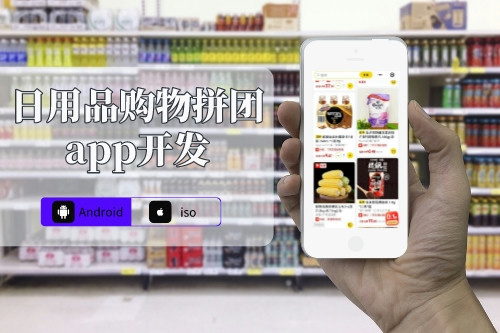 日用品購物拼團app開發解決方案