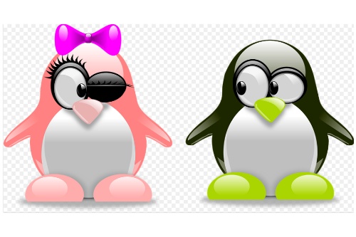 市場對婚戀小程序開發(fā)的需求