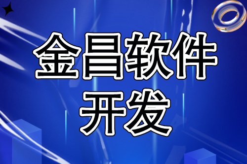 金昌軟件開發(fā)，豐富互聯(lián)網(wǎng)信息化項(xiàng)目服務(wù)經(jīng)驗(yàn)(圖2)