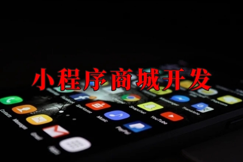 湖北小程序商城開發實現線上線下一體化運營(圖1)